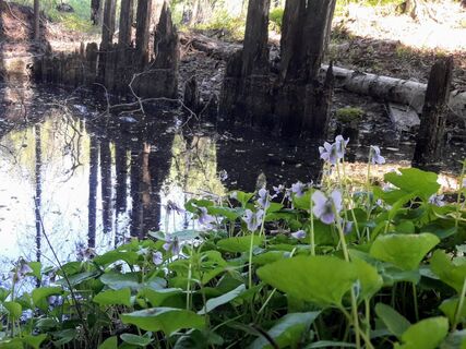 Einer der Brunnen des Arbeitslagers in der Wildnis