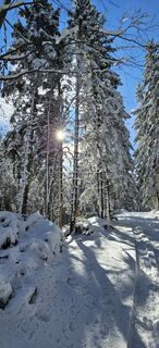 Fotografie z Mateja Rečnik na trase