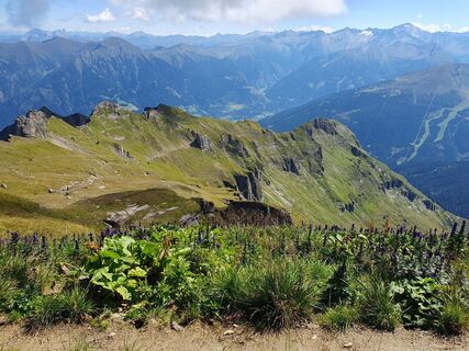 Fotografija s spletne strani Marie-Louise Kohn na poti