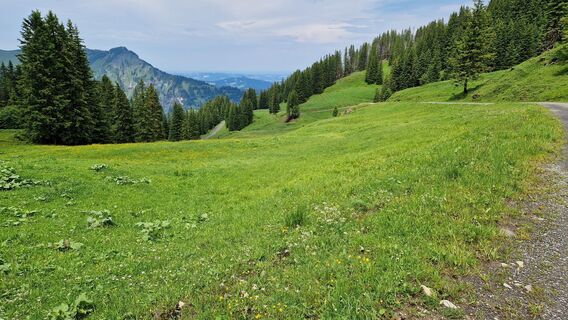 Fotografie z Gerrit van der Linde na trase