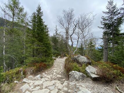Photo de Gábor Kovács 9 le long du parcours