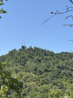 Fotografija s spletne strani Gerald na poti