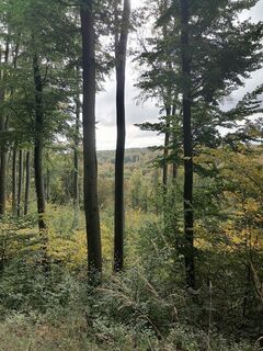 Photo de Varga Tamás le long du parcours
