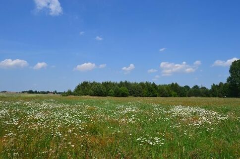 Rundweg 3