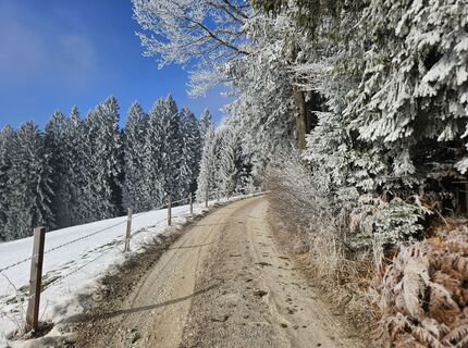 Fotografija s spletne strani Franz Russ na poti