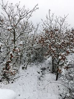 Fotografia z Ralf Reiniger na trase
