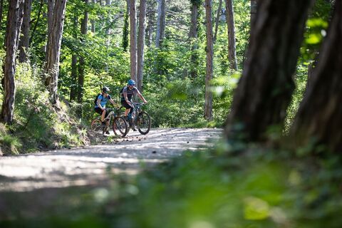 MTB Wienerwald