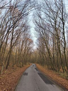 Фото с сайта Péter Szabó во время экскурсии