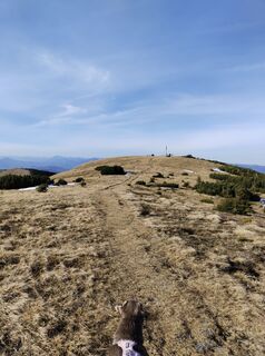 Fotografie z Julian Mraczek na trase