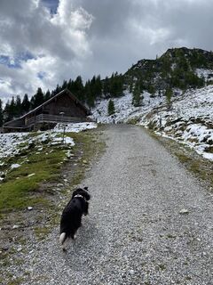 Karte