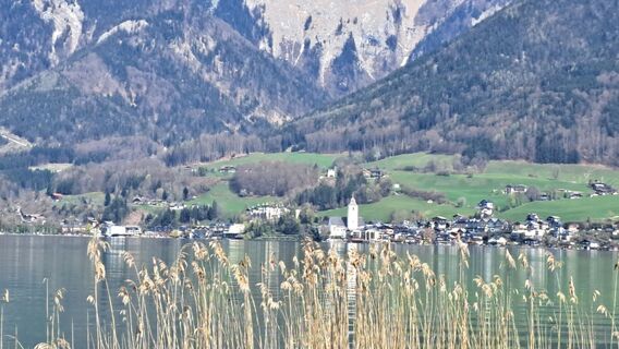 Fotografie z Gerhard Faugel na trase