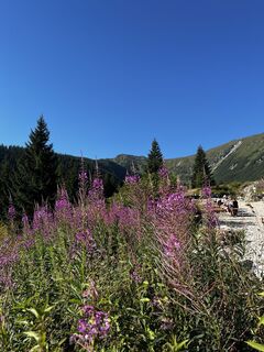 Foto von Rebeka Pákozdi entlang der Tour