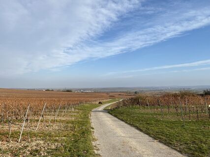 Foto från Stefan Zahlbrecht under resans gång