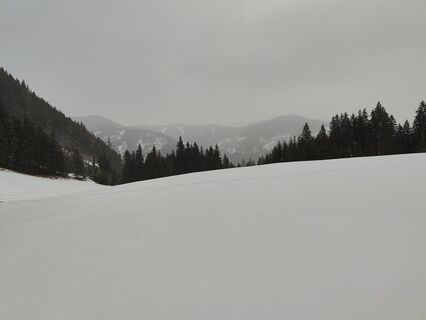 Fotografia z Lena Eder na trase