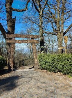 Zdjęcie z Zoltán Kovács 5 wzdłuż trasy