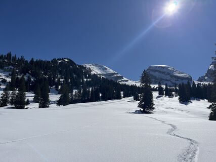 Fotografia z Francesco f Ernst na trase