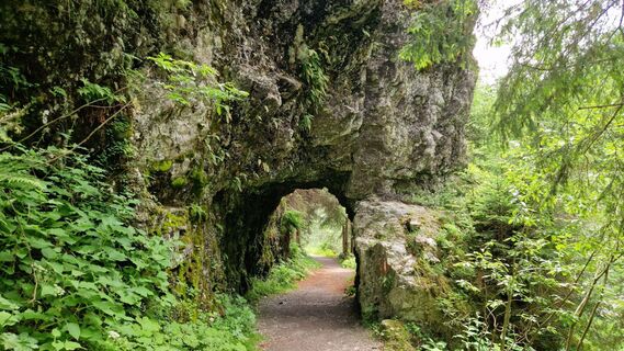 Fotografia z Gerrit van der Linde na trase