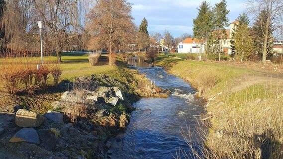 0.8 km Braunaubach in Schrems