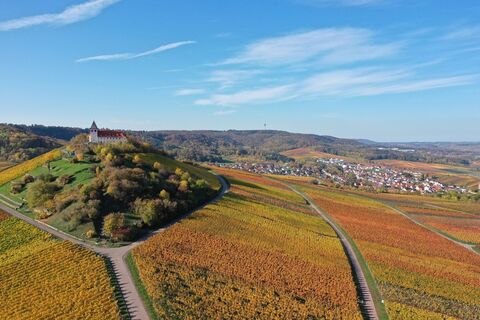 DSGV Z Cleebronn Privatkellerei Storz Michaelsberg WEB