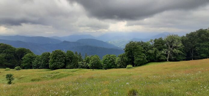 Fotografia z Julia Buchinger na trase