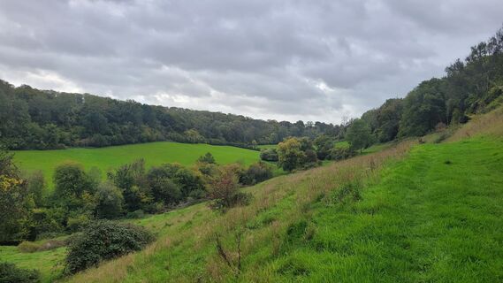 Zdjęcie z Juliane Jarke wzdłuż trasy