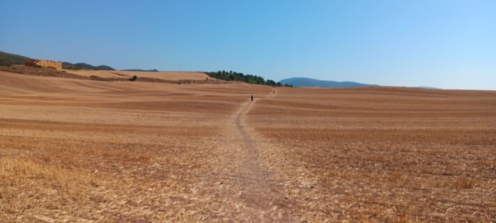 Foto von Patrice Gouspy entlang der Tour