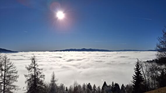 Foto von Monika Wirth entlang der Tour