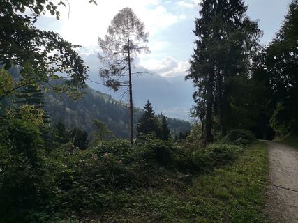 Foto von Manuela Pauli entlang der Tour