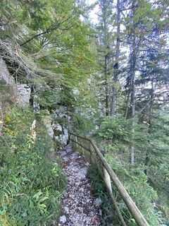 Zdjęcie z Andreas Siener wzdłuż trasy