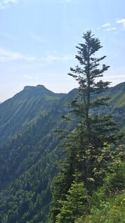 Fotografia z Enkidu55 na trase