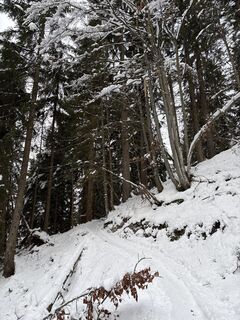 Фото с сайта Heinz Sperl во время экскурсии
