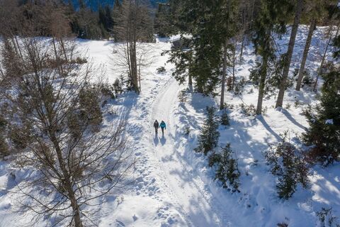 Winterwandern (c) TVB Kitzbüheler Alpen-Brixental (5).jpg