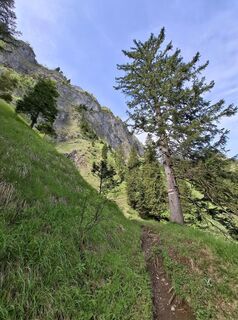 Fotografie de la Maurer Silvia de-a lungul turului