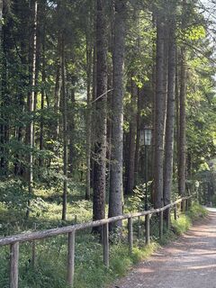 Foto von Babs Holz entlang der Tour