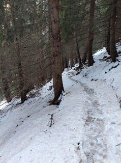 Fotografia z Powerwalker na trase