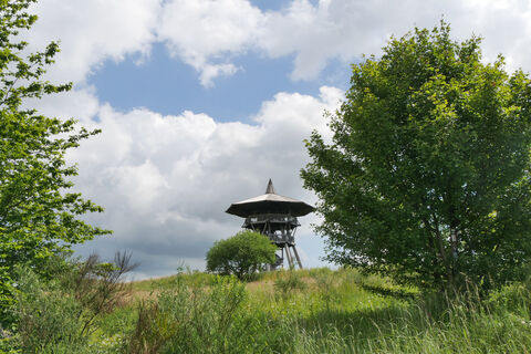 Der Eggeturm am Preußischen Velmerstot