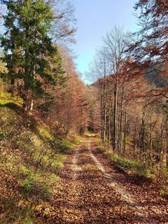 Fotografija s spletne strani ReginaSt na poti