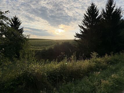 Donauwörth Gehen am morgen bei Sonnenschein