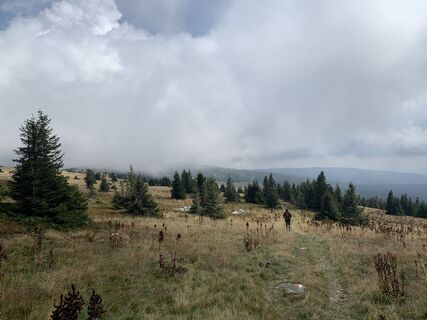 Fotografia z Melanie Hörzer na trase