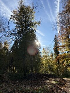 Foto von Heidi Weichhart entlang der Tour
