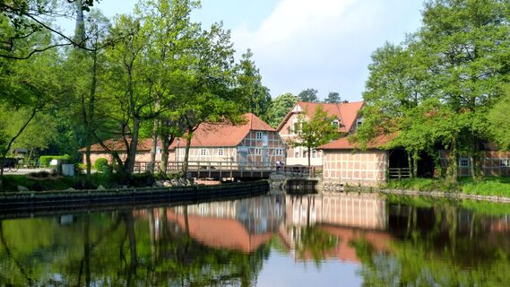 Mühlenteich in Sittensen bei der Wassermühle