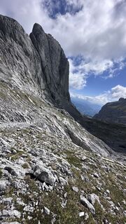 Photo de Mountain Cat ? ⛰️ le long du parcours