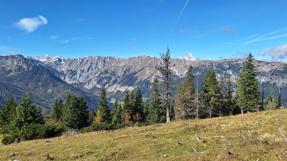 Foto von Susi Puhl entlang der Tour