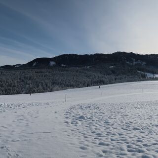 Aussicht Richtung Schwarzenbühl