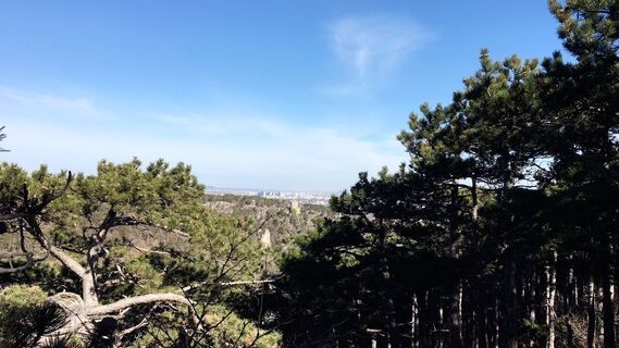 Photo de Lomalinda le long du parcours