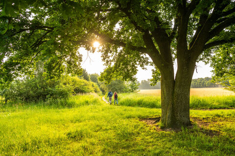 Wandern im Naturreservat Rieselfelder Windel