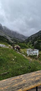 Photo de Julia Fruhmann le long du parcours