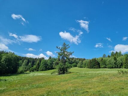 Photo de Christina Fröhlich le long du parcours