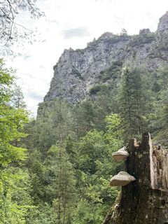 Foto von Babs Holz entlang der Tour