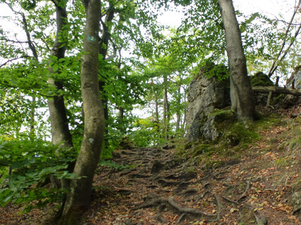 HI_RW2_P1070810_Weg_FotoVF